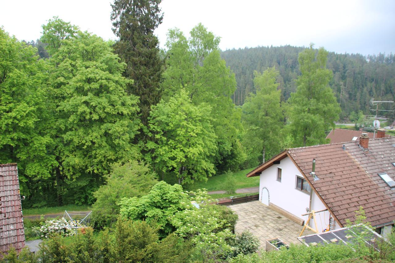 Kuckucksnester Friedenweiler 外观 照片