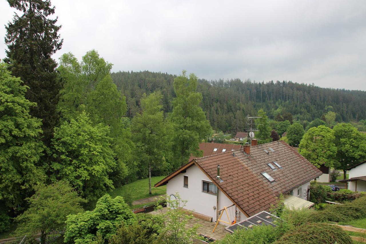 Kuckucksnester Friedenweiler 外观 照片